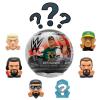 WWW Smackdown Mashems Sürpriz Figür Paketi